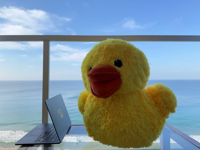 Ducky plushie – Varkala, India